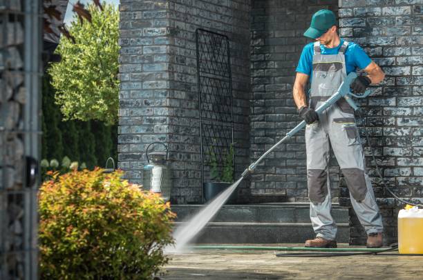 Best House Exterior Washing  in Mount Pulaski, IL